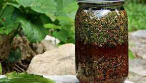 Ще бъде ли помогнала пелин